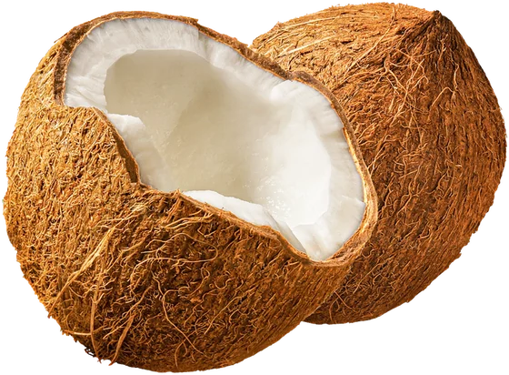 A cracked open coconut